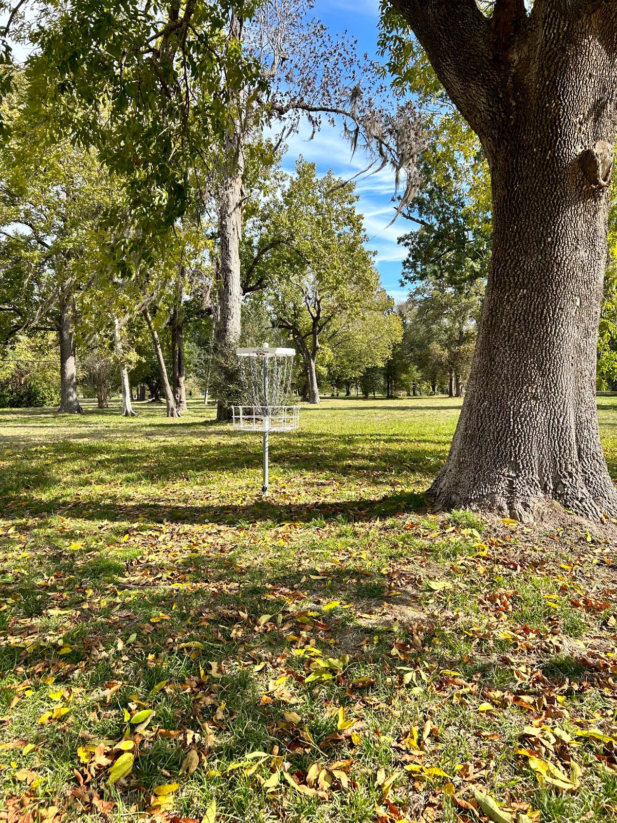 Autumn Morning- Victory Saturday Mini