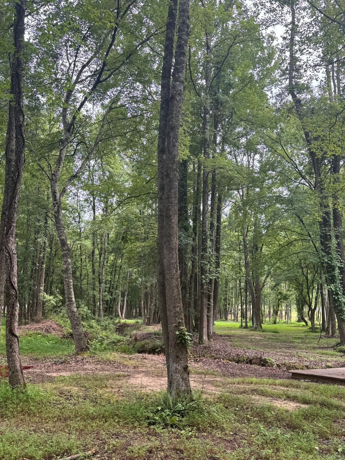 Hole 17 B pad