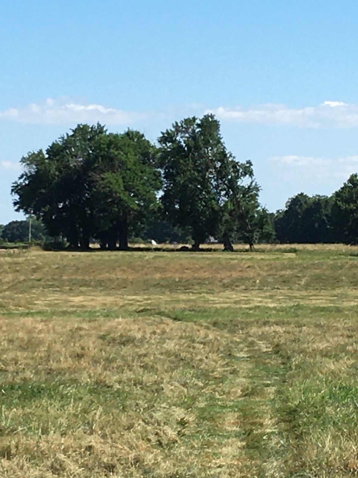 Hole 1 Fairway