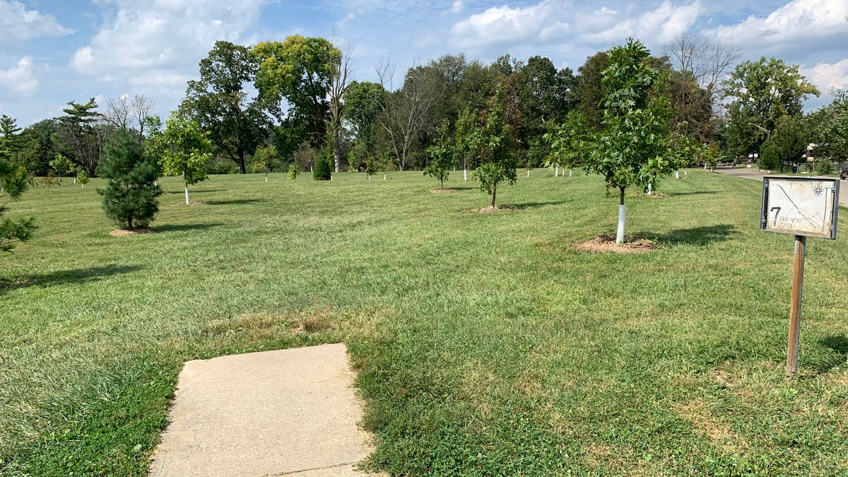 Hole 7