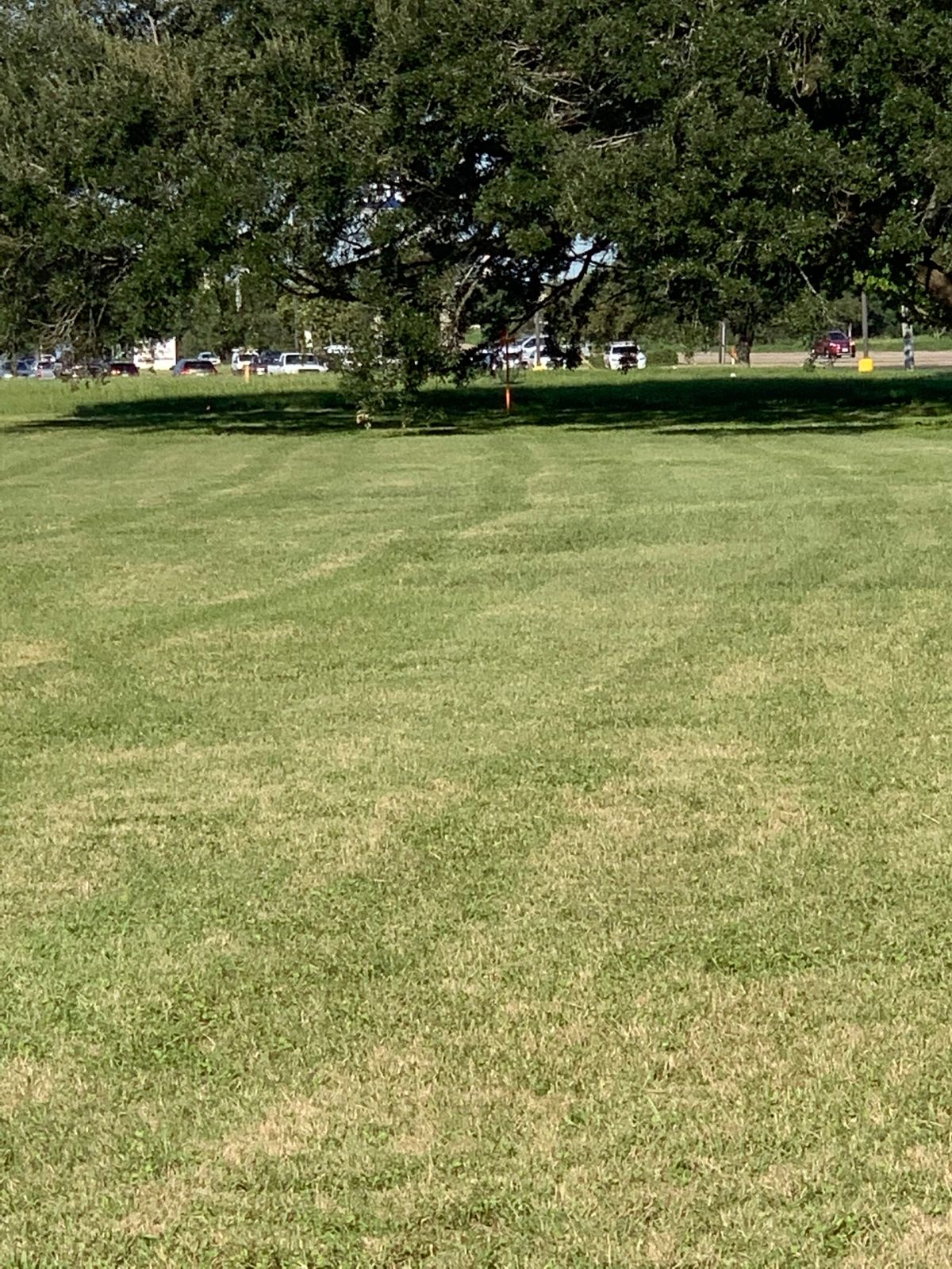 Hole 5