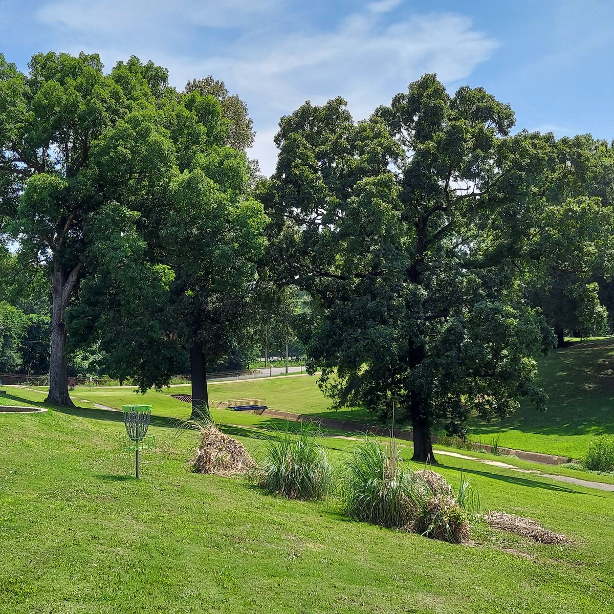 The beautiful green of 18 from the left side.