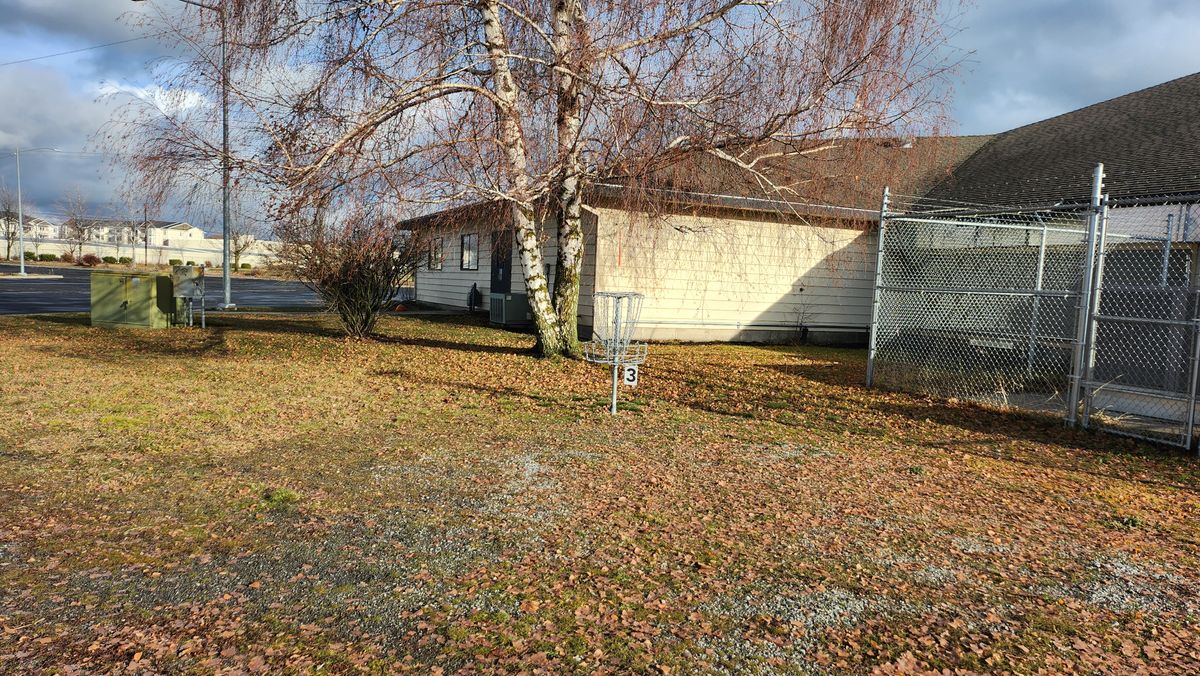 Hole 3 basket