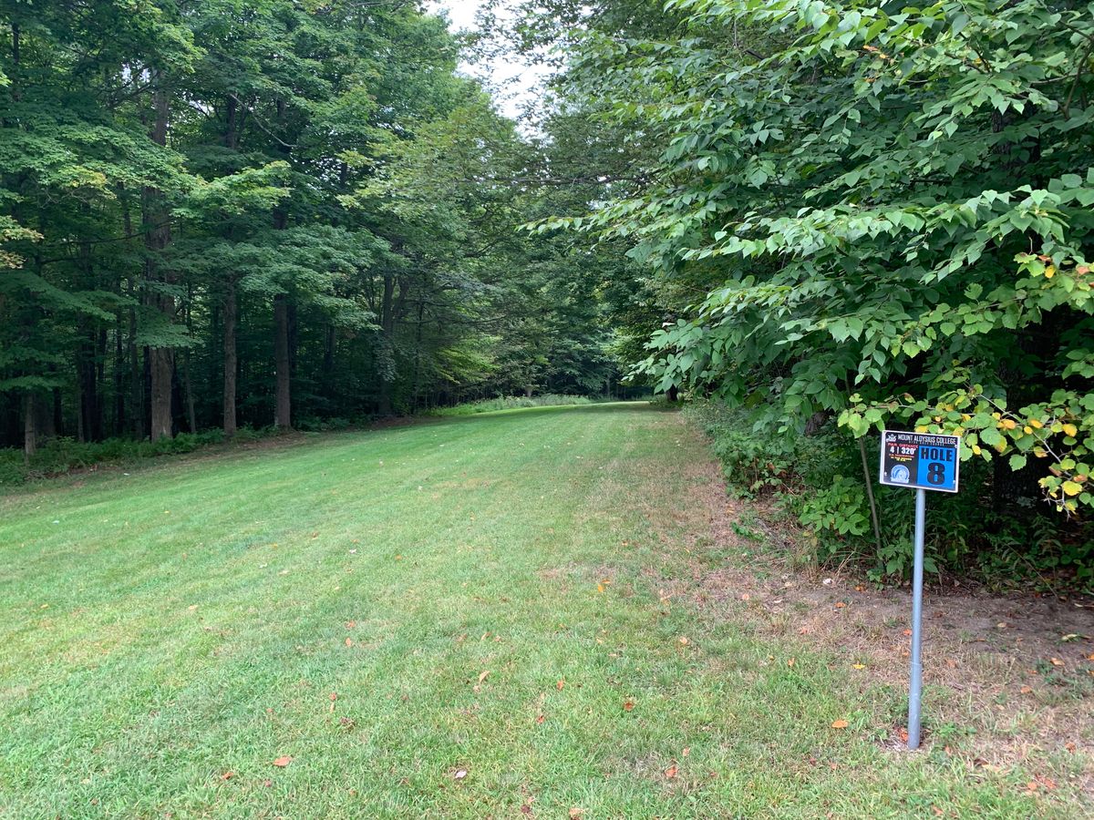 Hole 8 Tee
