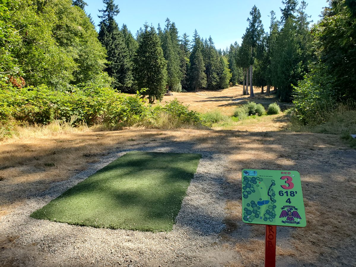 Hole 3 tee