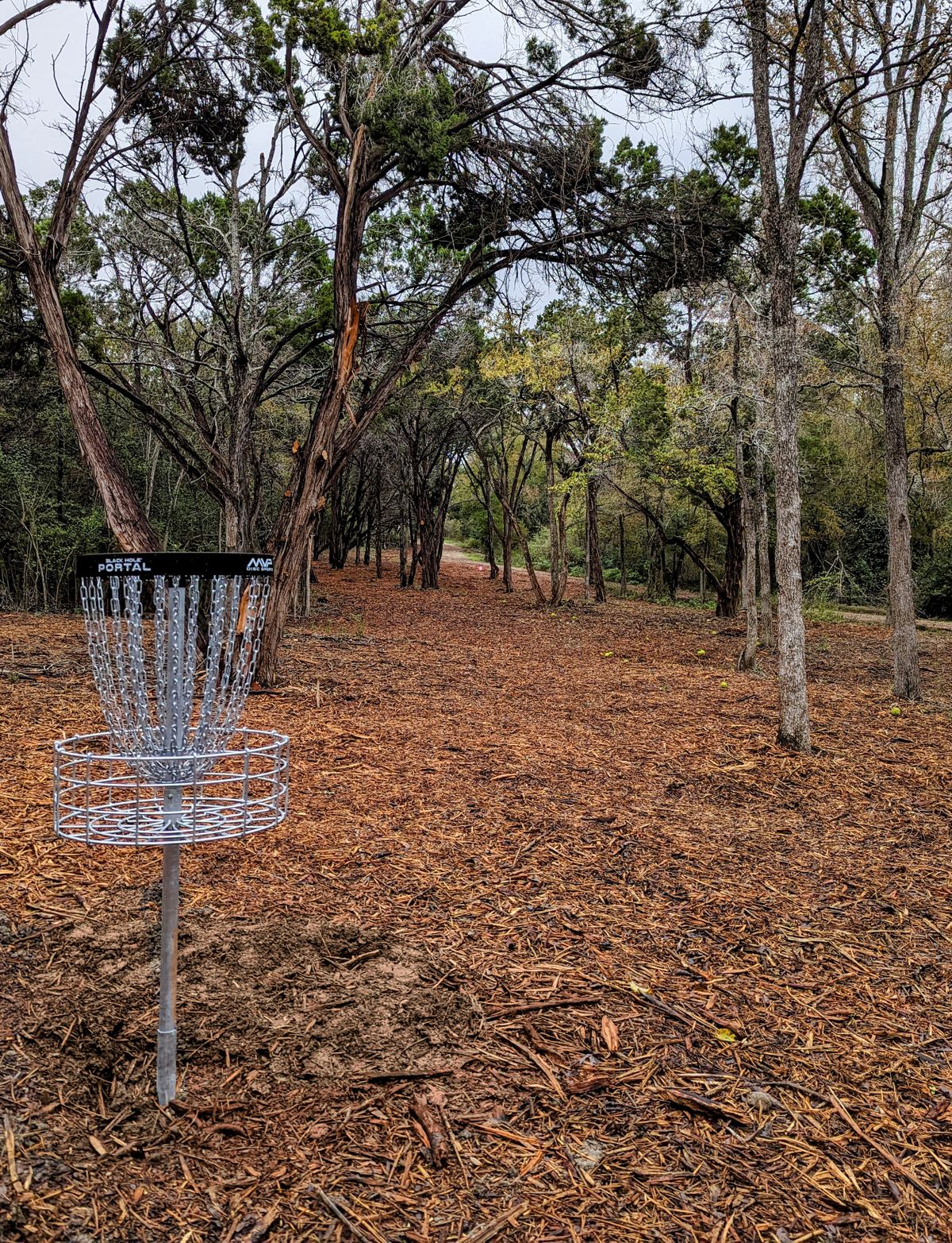 Hole 8 Basket