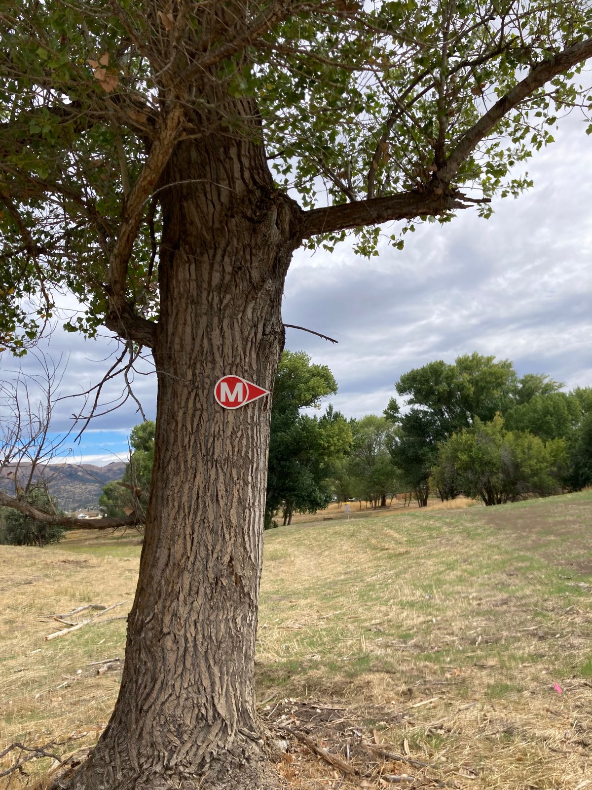 New Mando sing on hole 5