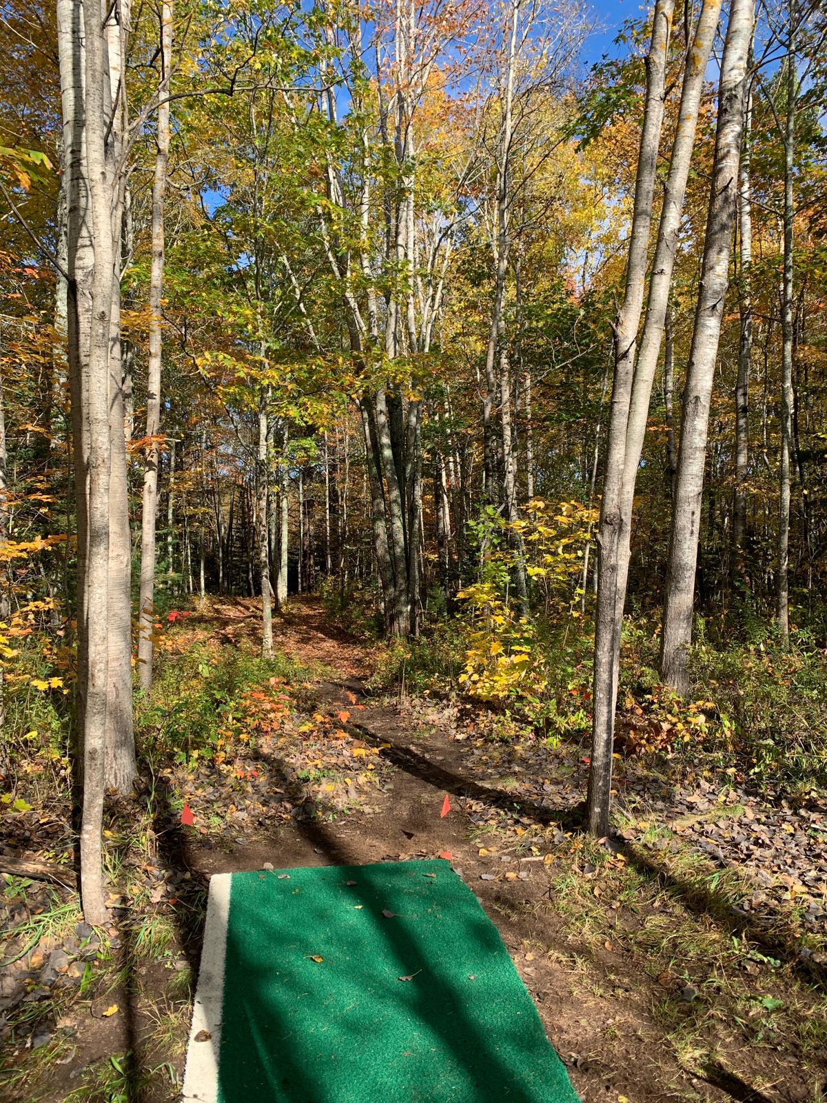 Hole 2 tee