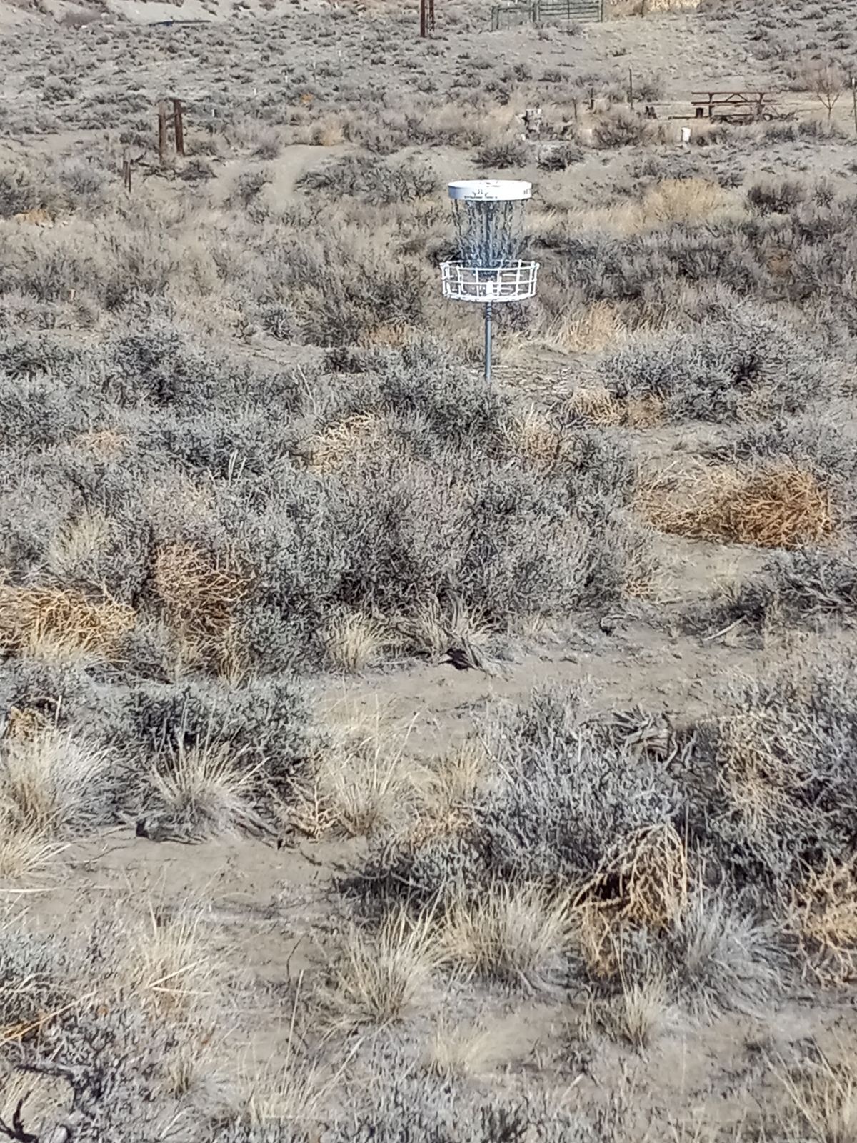 Hole 7: The picture is taken approaching the basket. Part of the picnic area is seen in the background.