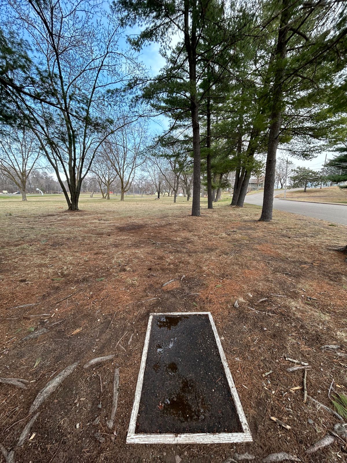Hole 2 tee area