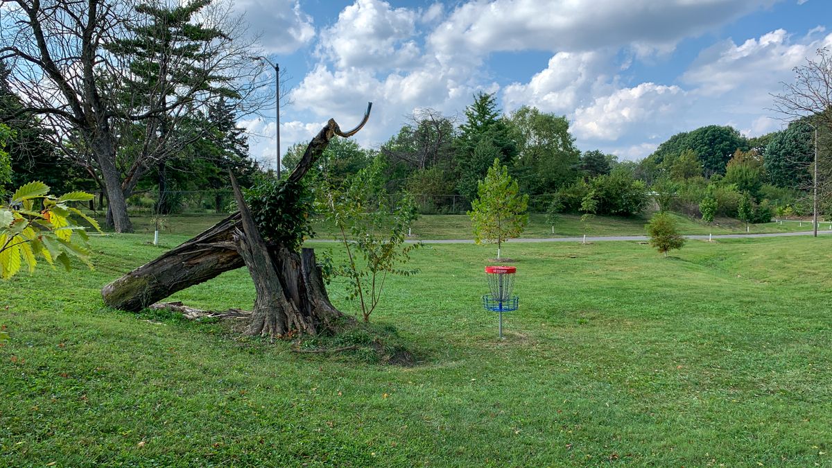 Hole 4