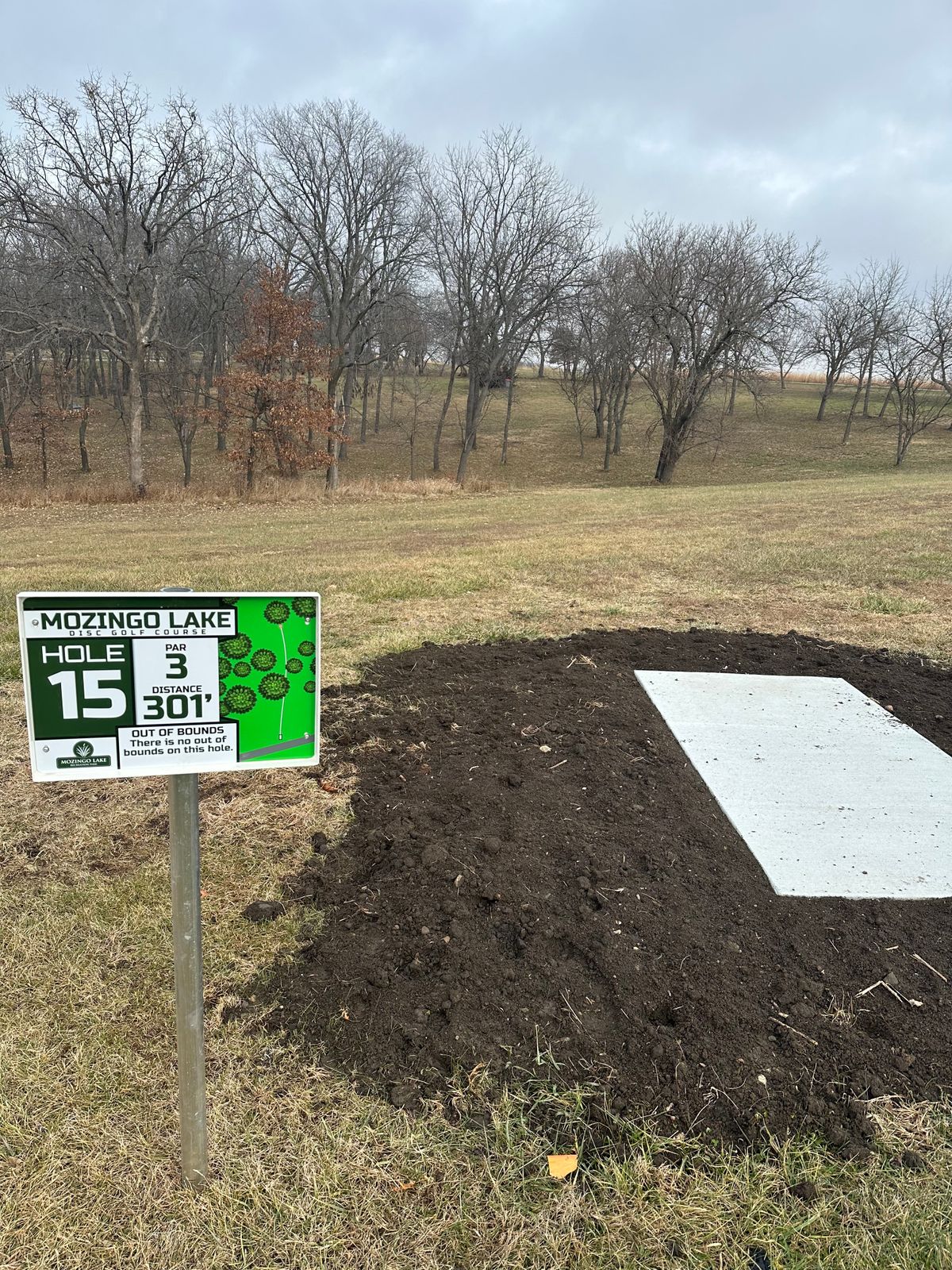 Hole 15
