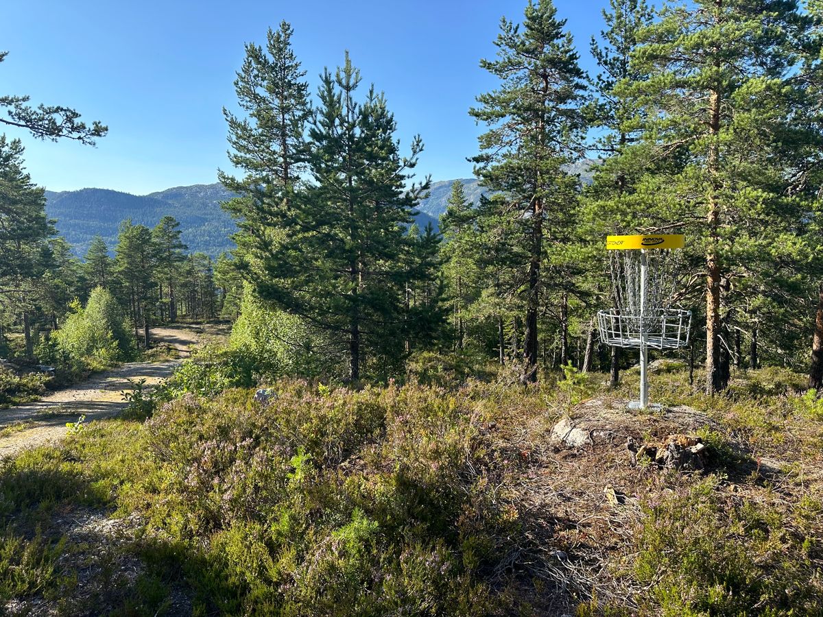 Hole 4