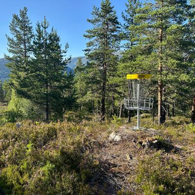 Hole 4