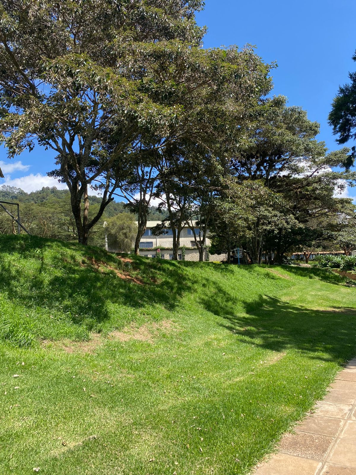 Target of hole 8 (5th tree down from shed)