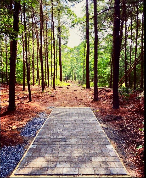 Hole 4- Oakpine Alley
