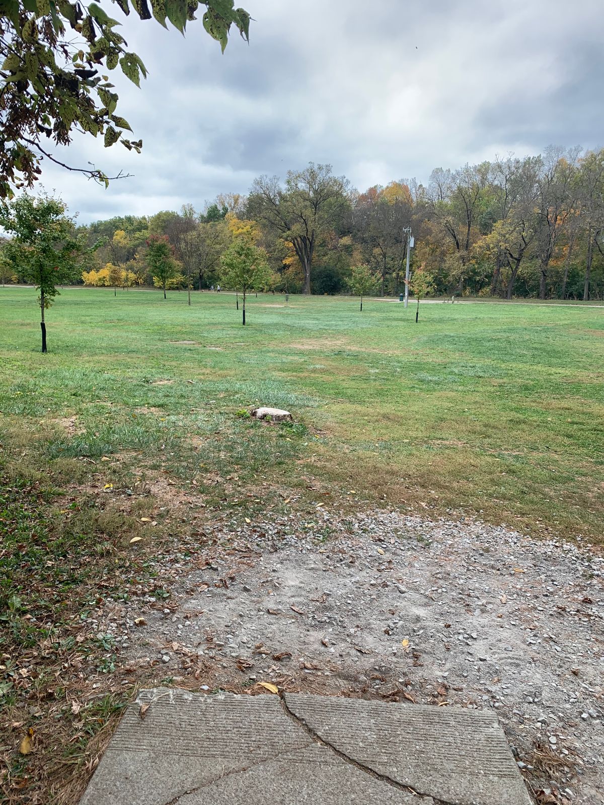 Hole 14 Tee