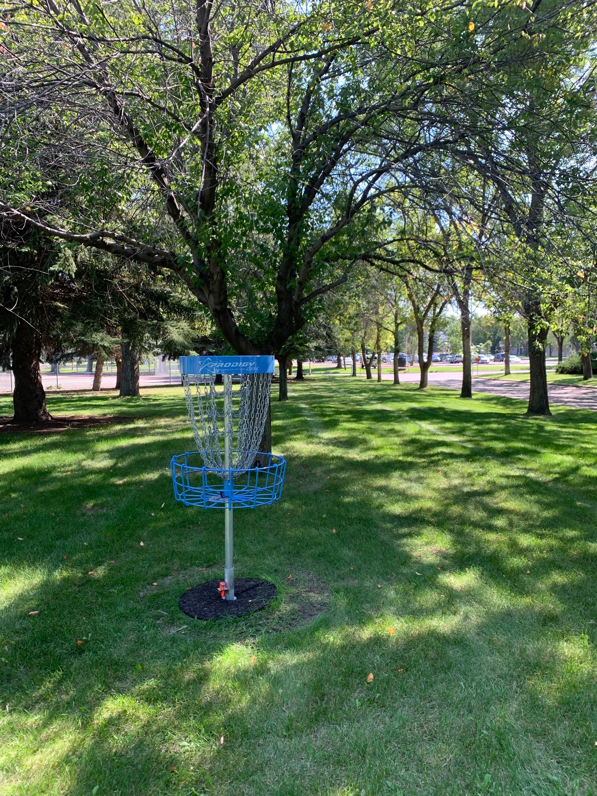 Hole 1 basket
