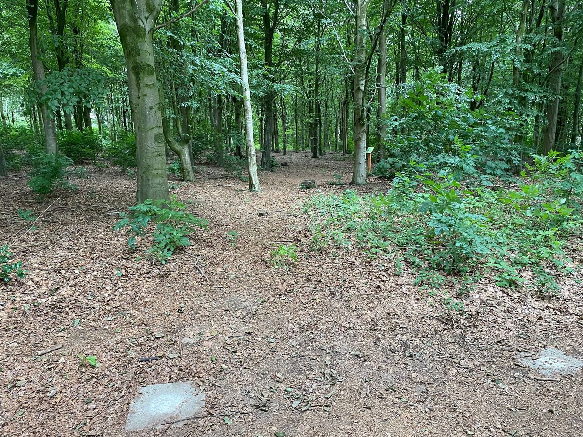 Tight, wooded fairways are great for a windy, Danish summer day