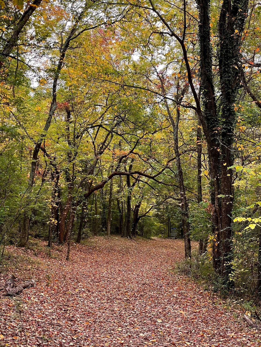 Hole 5 from Short Tee, Blue basket (straight)