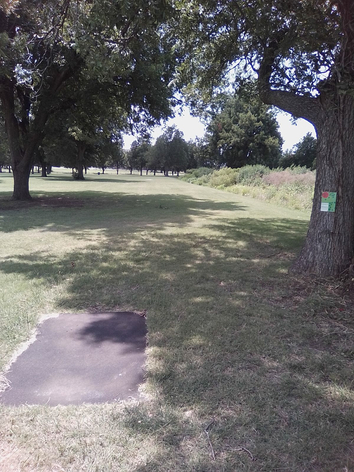 Tee #2 (PAR 3)