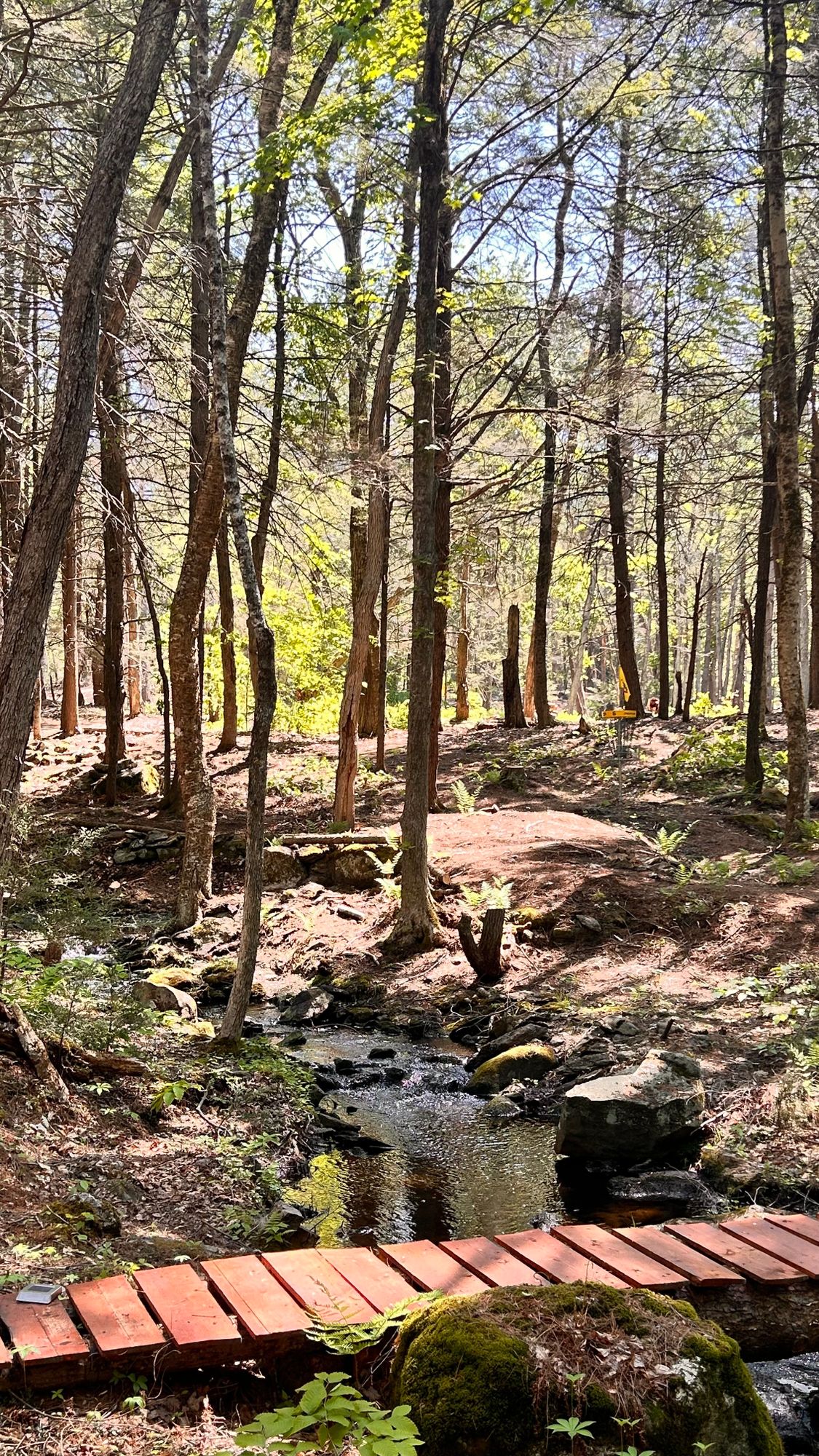 Approach shot on hole 6