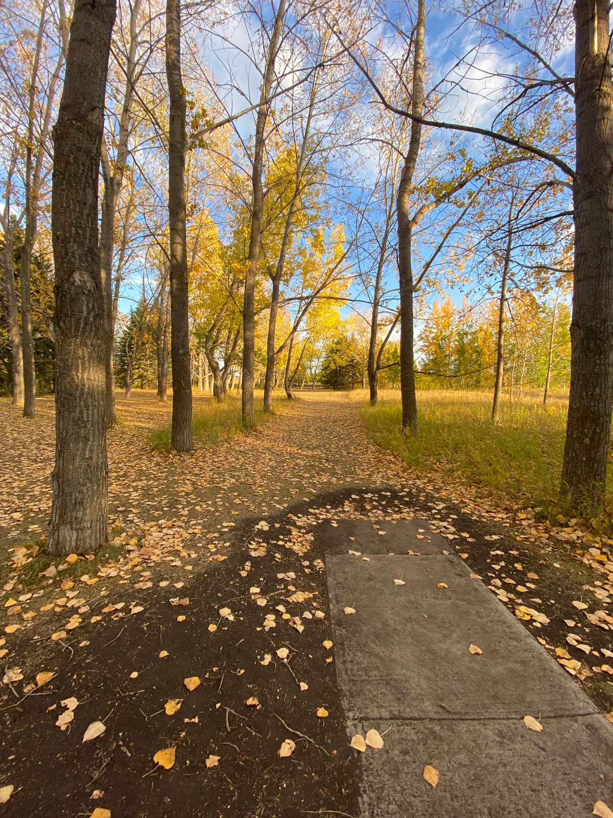 Hole 3