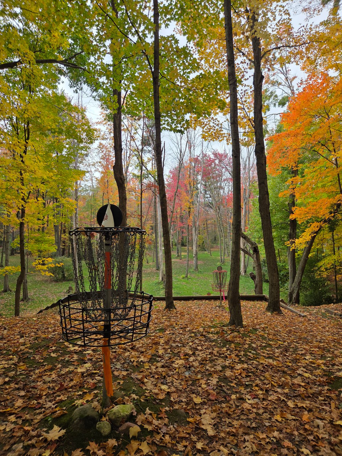 Looking back on hole 14