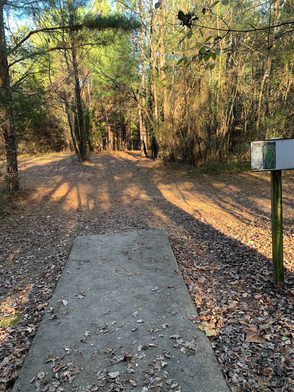 Hole 15
