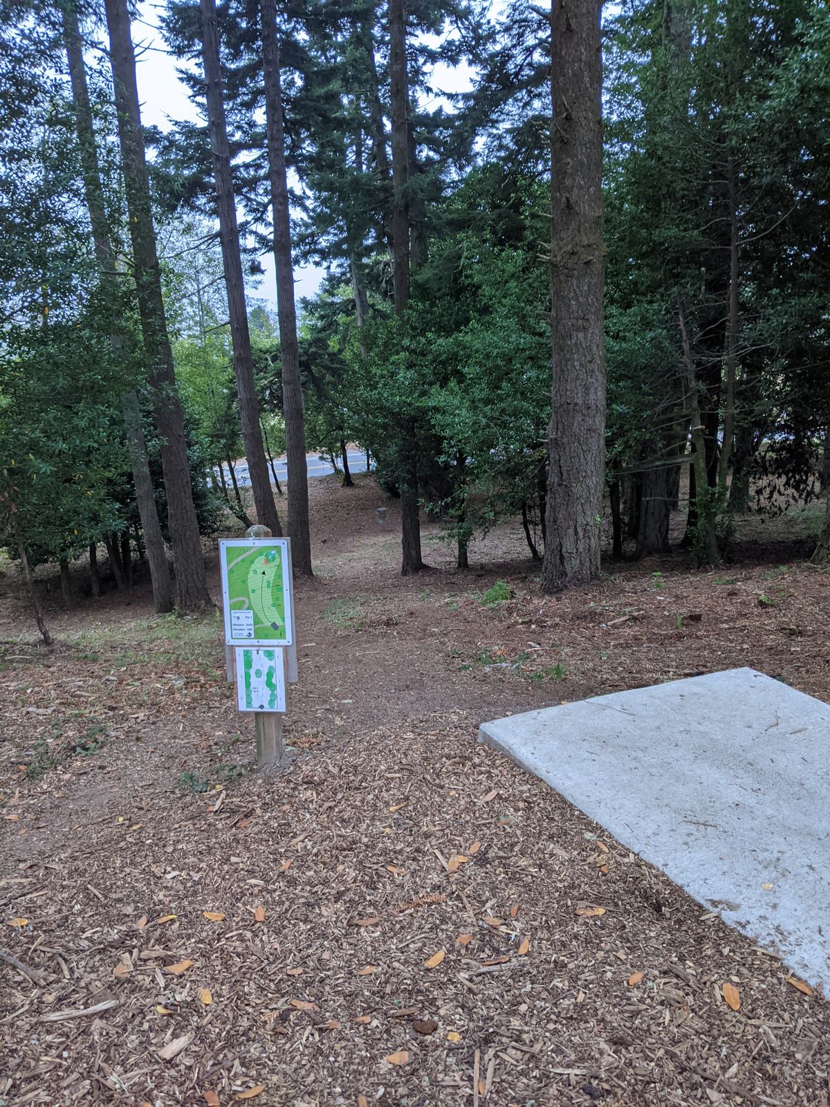 hole 9