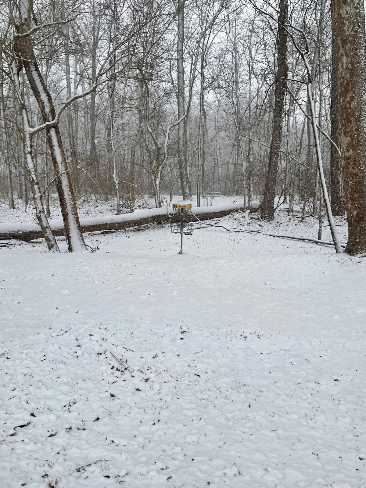 Snowy day 😍😍