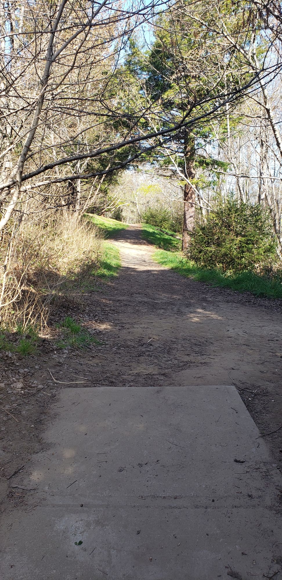 Hole 6