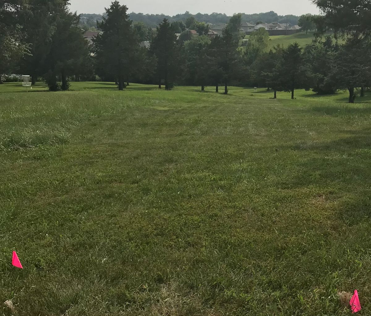 Hole 6- Downhill-Hit the gap or over trees?
