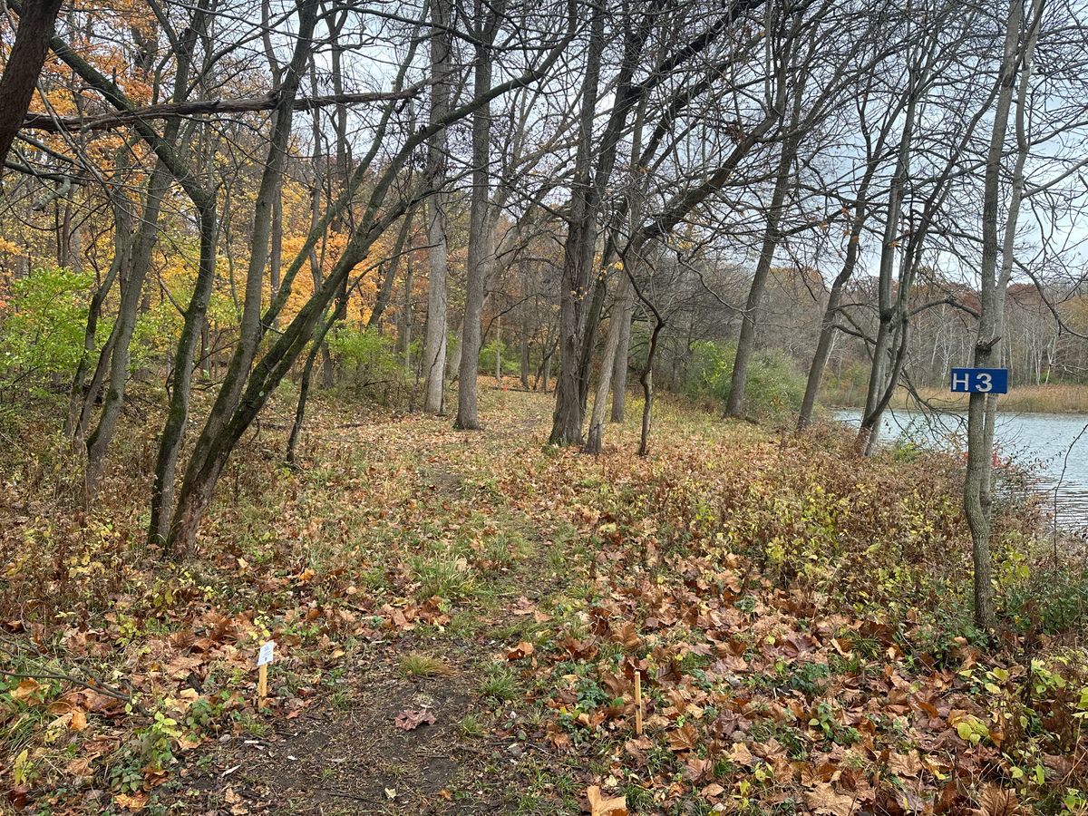 Hole 3 tee