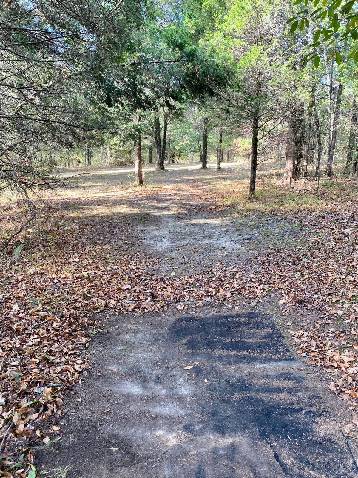 Hole 17