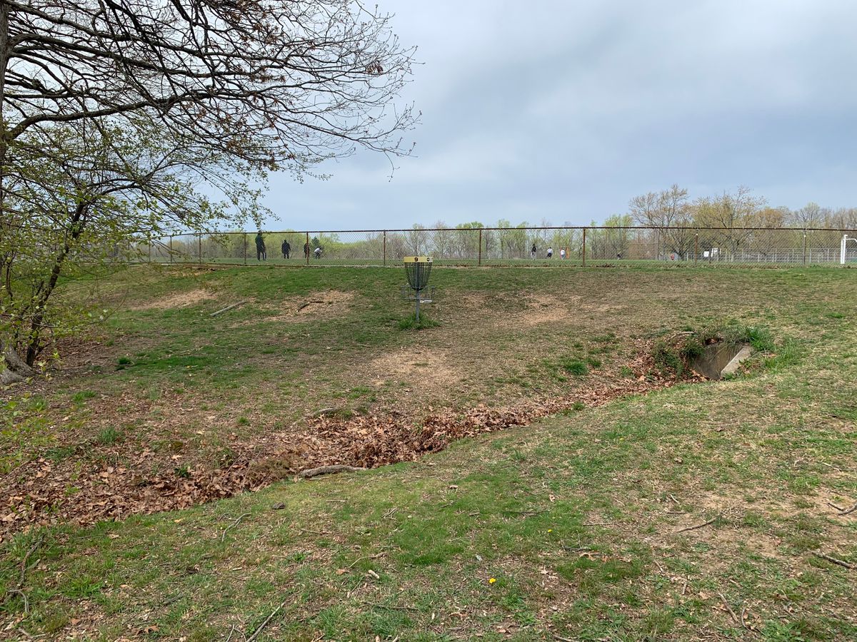 Hole 9/10 basket