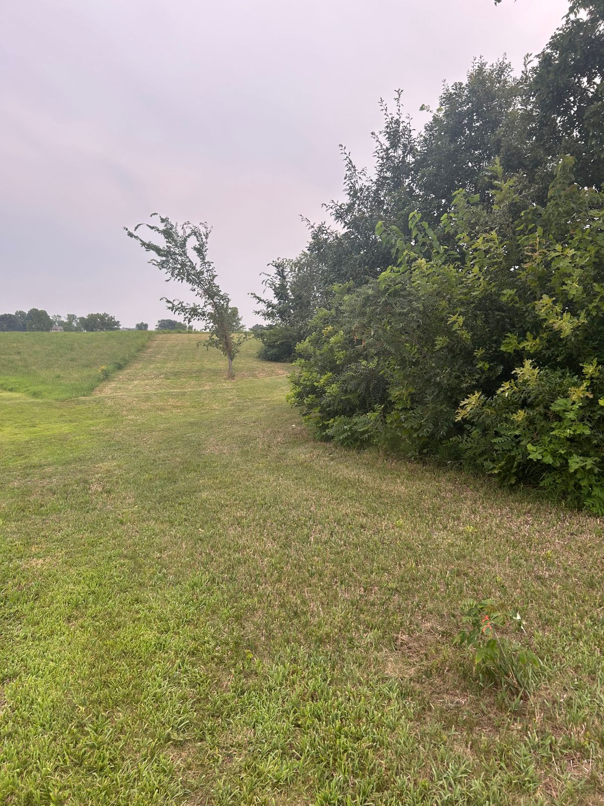 Hole 15