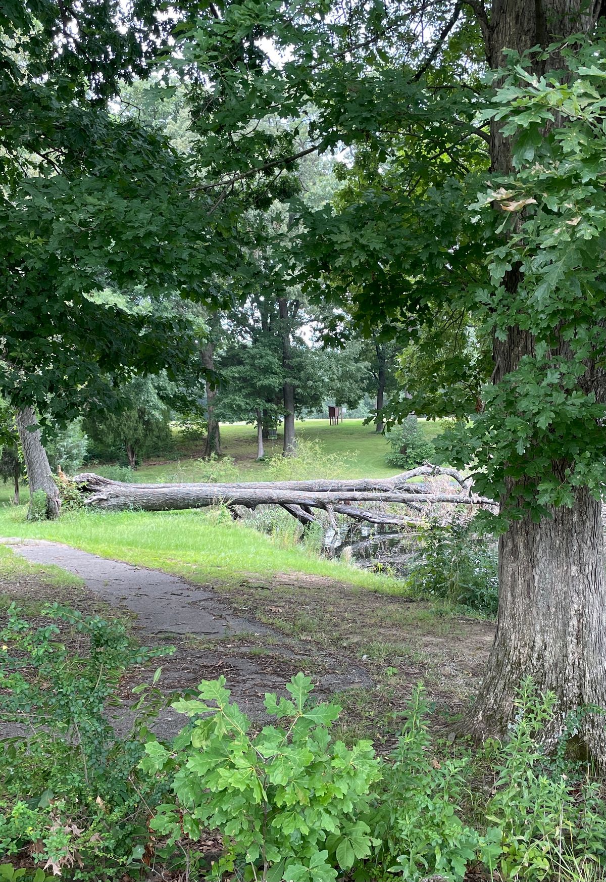 Hole 14