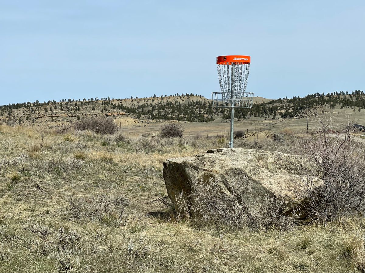 Basket 15