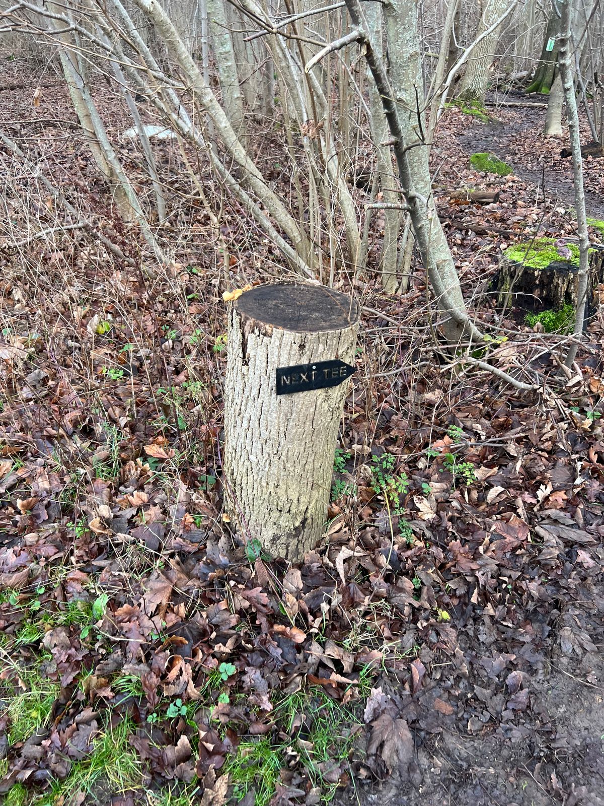Direction signs