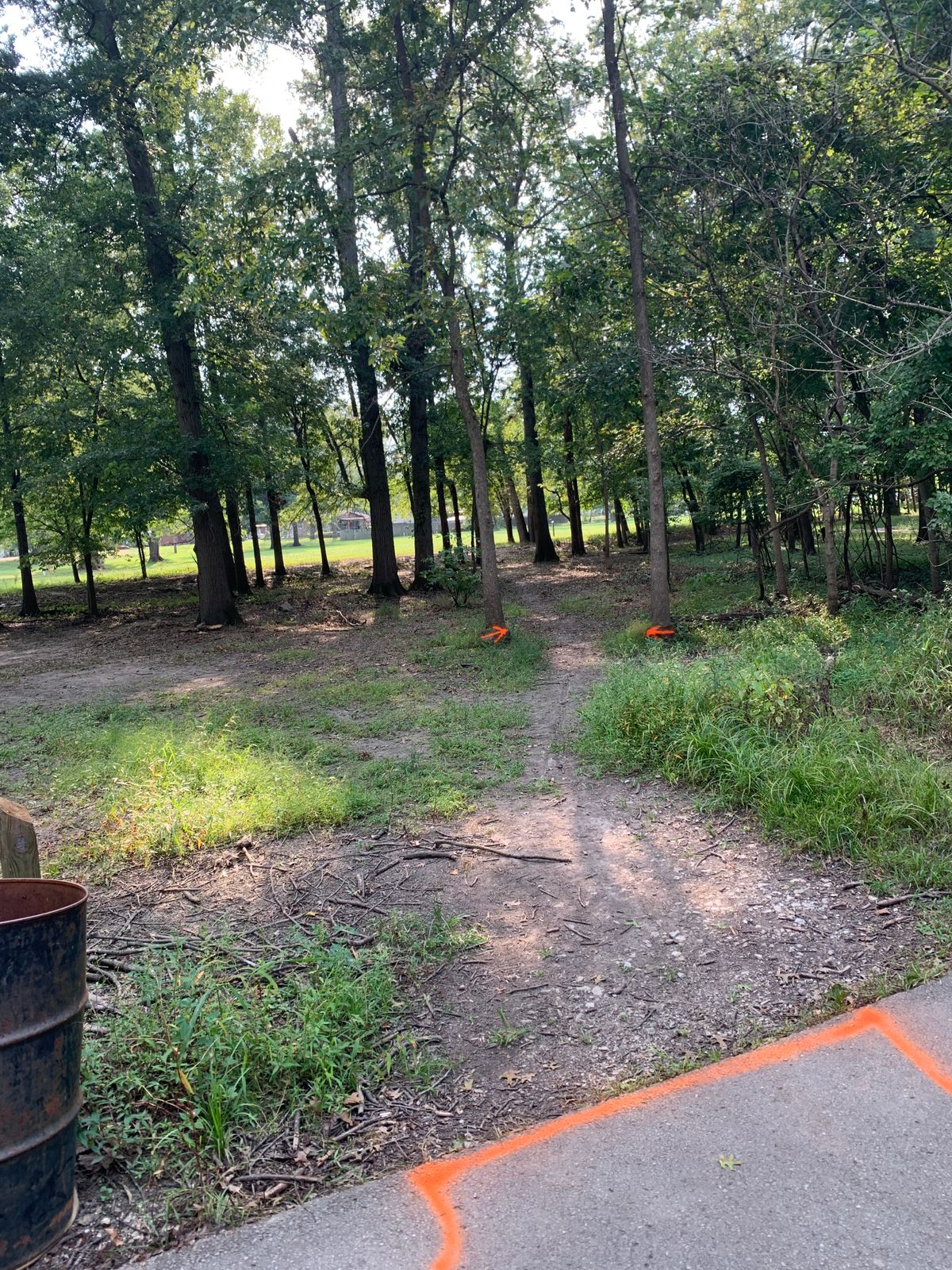 Hole 6 Tee