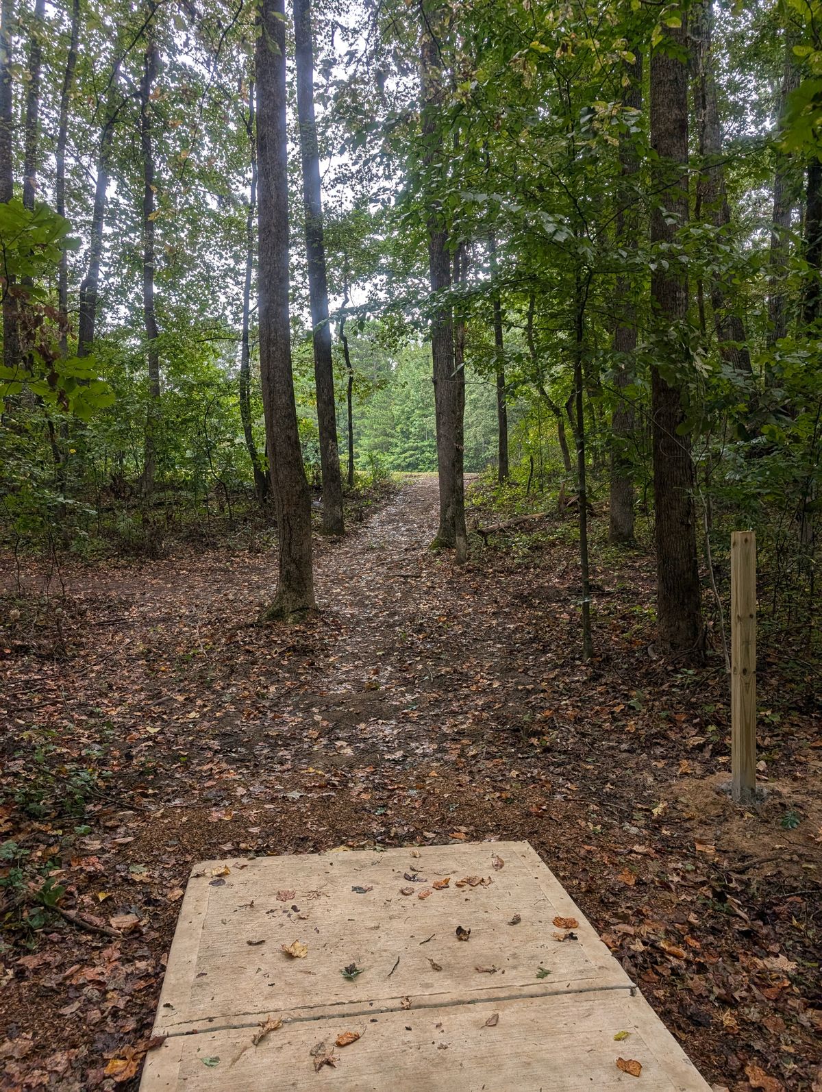 Hole 5 to the field then to the right side