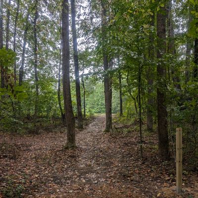 Hole 5 to the field then to the right side