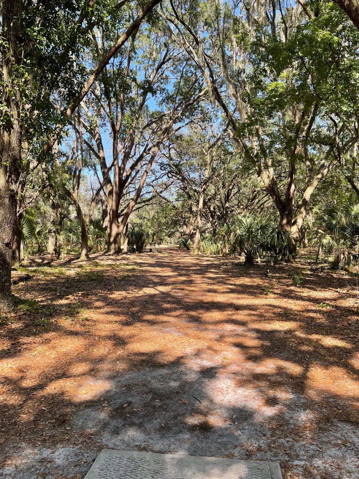 Hole 5