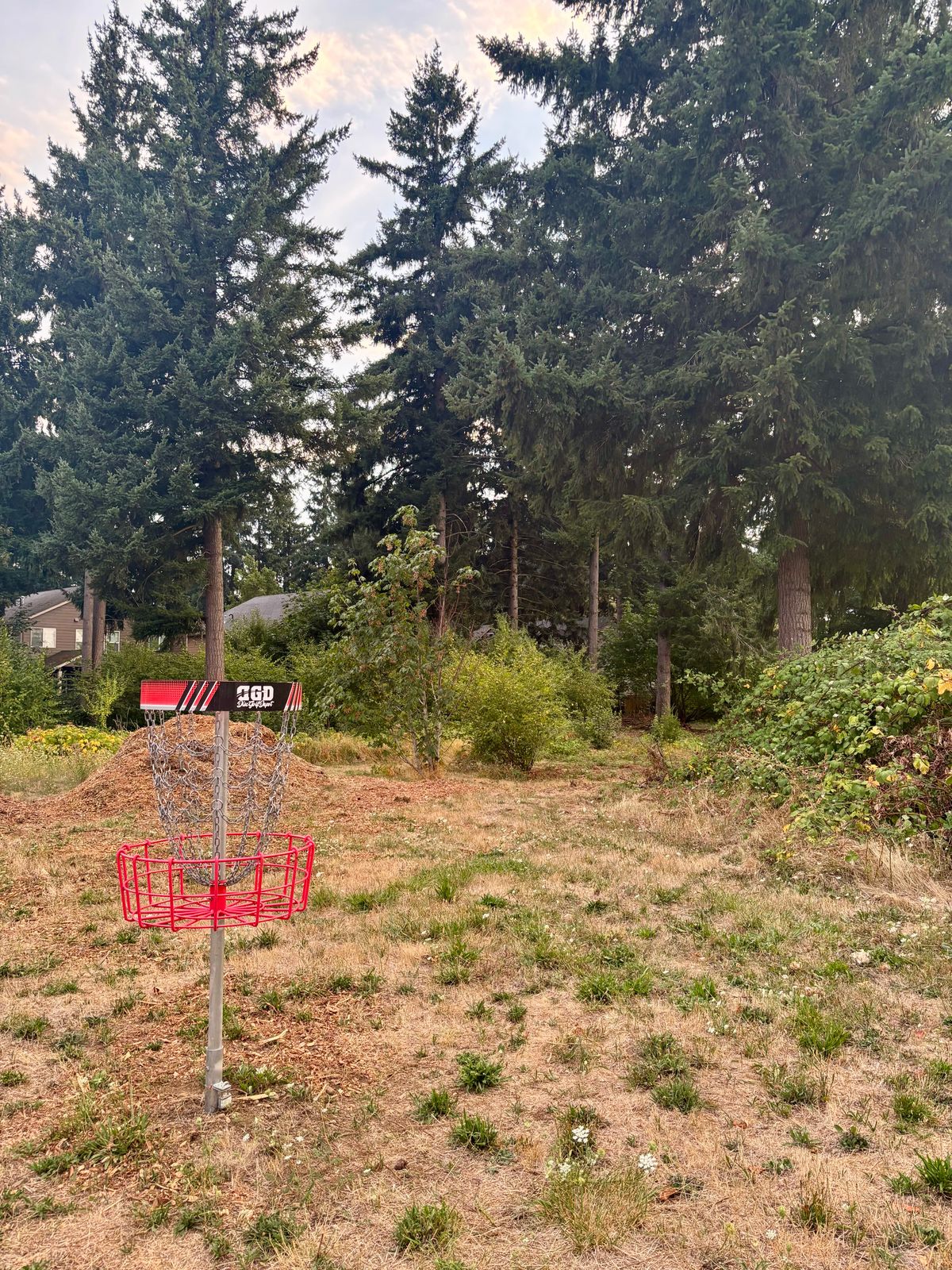 Hole 6 From Basket