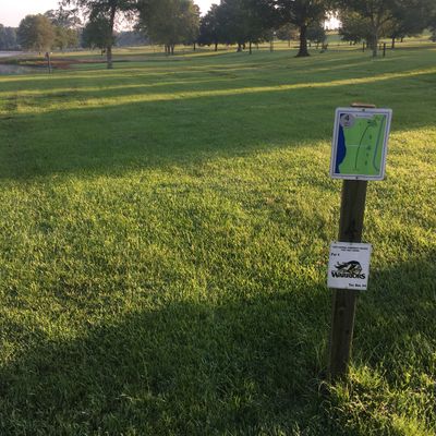 Hole 4 tee