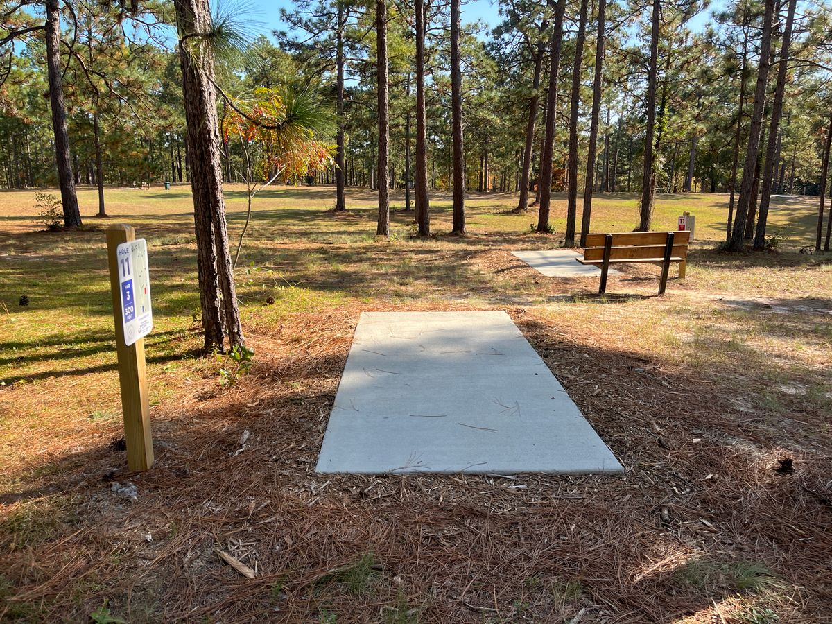 Hole 11 tee
