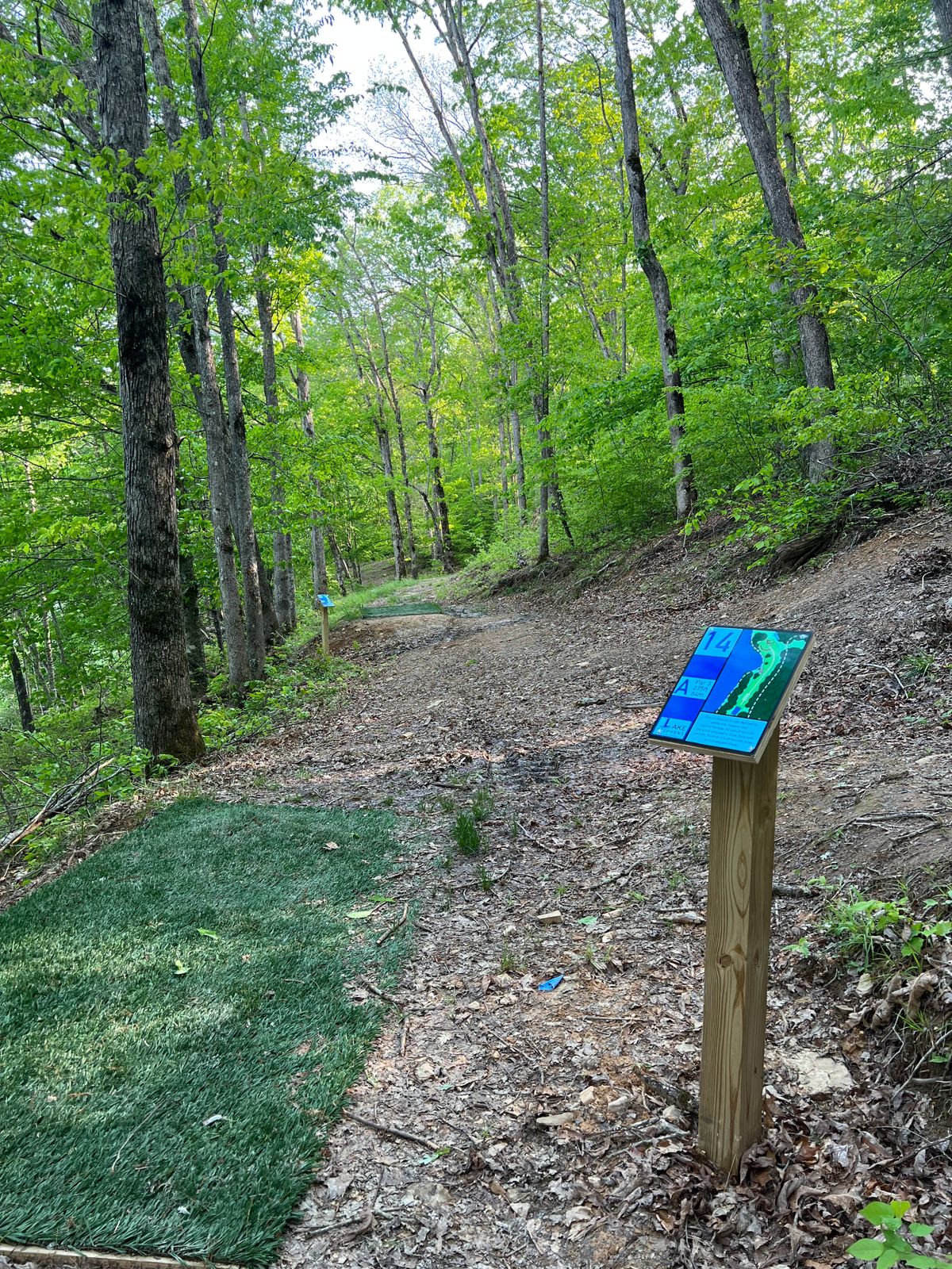 Hole 14 Blue Tee