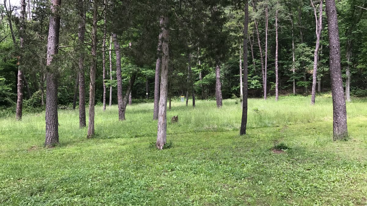 Hole 12