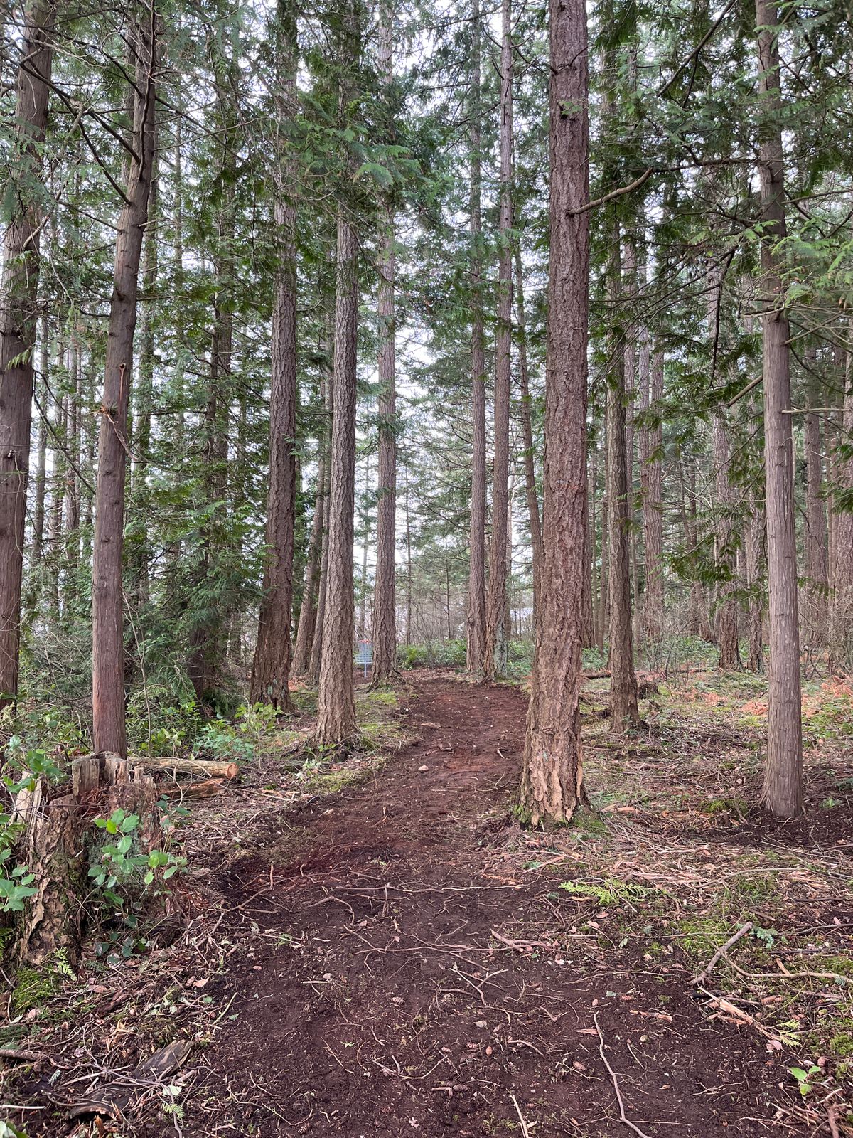 Hole 1